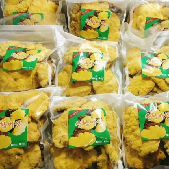 Nấm thượng hoàng to đóng bịch 1kg loại cao cấp